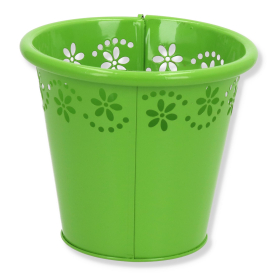 cd590 green