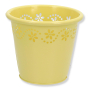 cd590 yellow