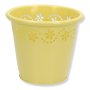 cd590 yellow