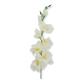 50185 cream