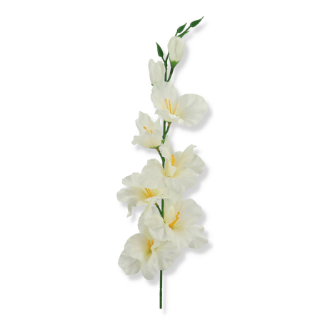 50185 cream