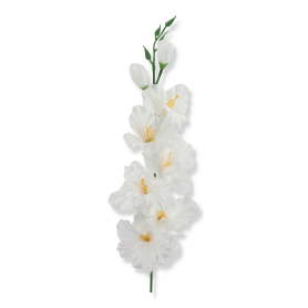 50185 pure white