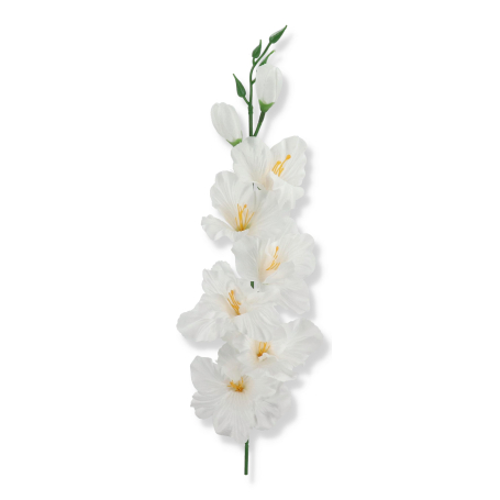 50185 pure white