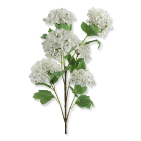 62749 white