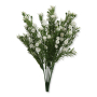 62743_1