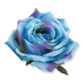 62365 blue