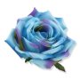 62365 blue