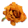 52327 aut orange