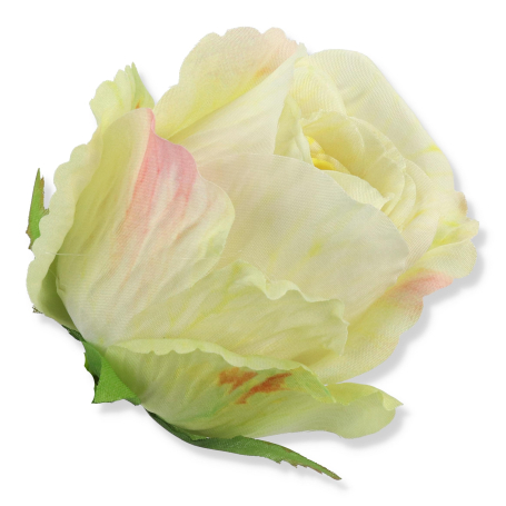 62815 lemon