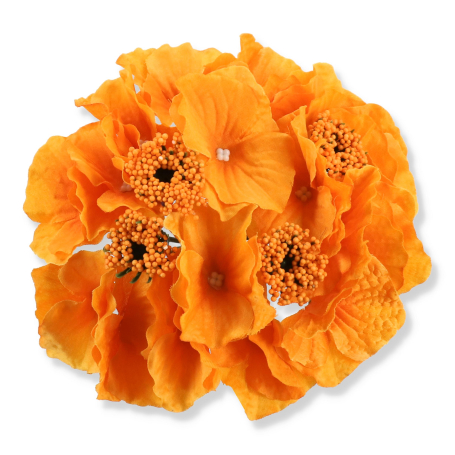 55659 orange