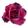 52510 new purple