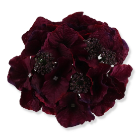 55659 purple