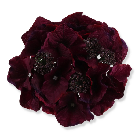 55659 purple