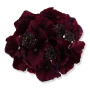 55659 purple