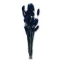 551 9