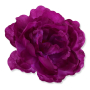51449 new purple