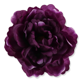 51449 tt purple