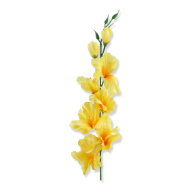 50185 lemon