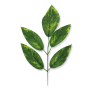 54845