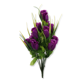 53829 violet