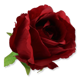 62815 red