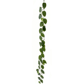 63057