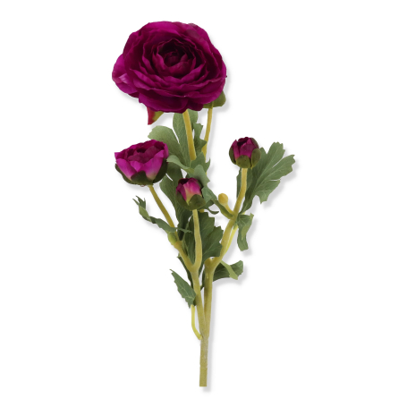 60726 purple
