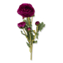 60726 purple