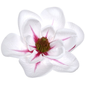 63069 white pink