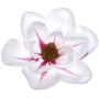 63069 white pink