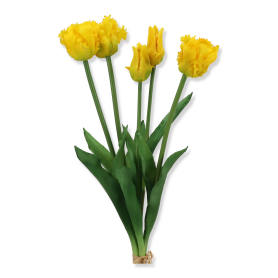 Tulipan papuzi Real Touch REN2021 MIX2