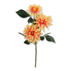 Dalia gałązka SMMX051