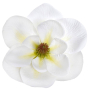 63069 white green