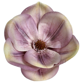 60245 dirty violet