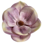 60245 dirty violet