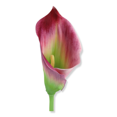 63062 lilac green
