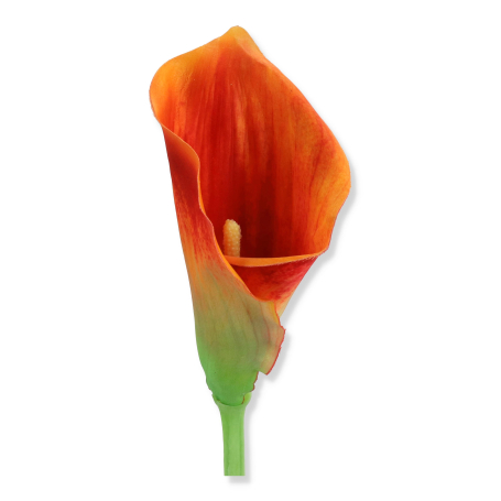 63062 orange