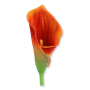 63062 orange