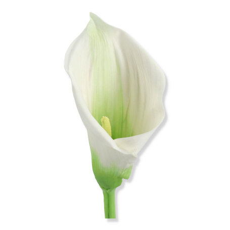 63062 white