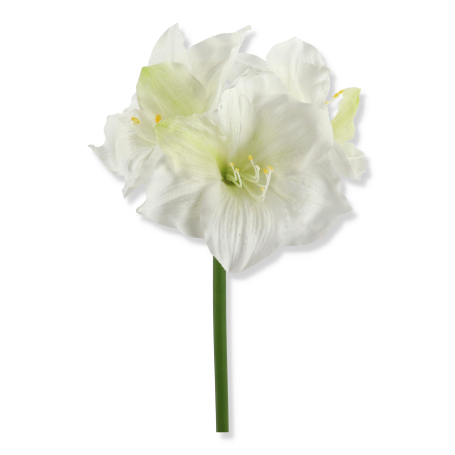 63066 white