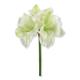 63066 white green