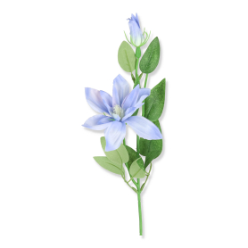 Klematis gałązka HD436481