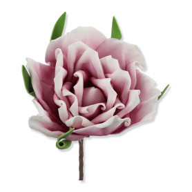 Magnolia piankowa VIP7796/DEAD/MIX(6)