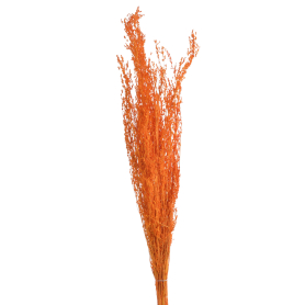df38 or