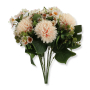 63097_5