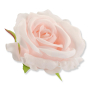 50620 new lt peach