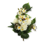 63095_4