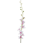 54925 2179