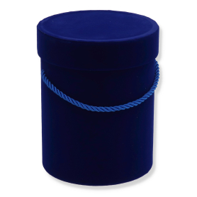 48199 royal blue