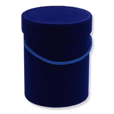 48199 royal blue